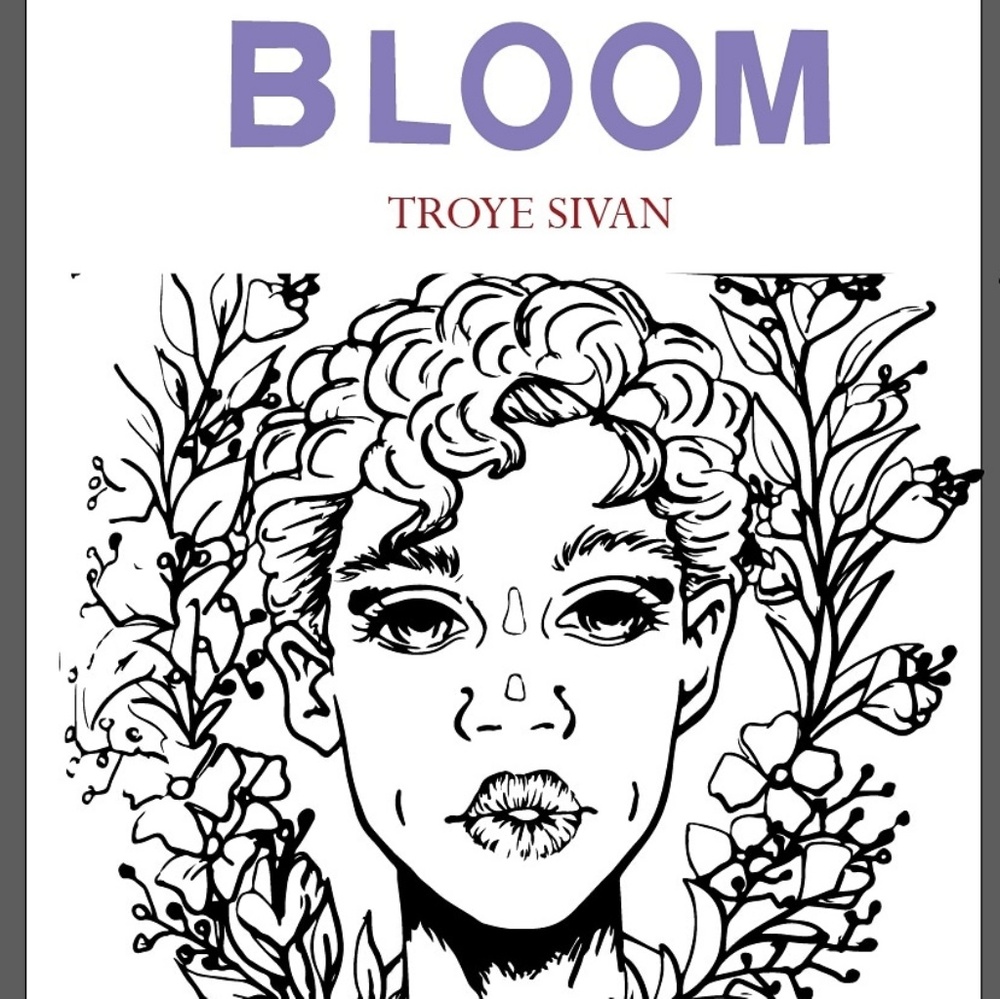 TROYE SIVAN POSTER ART!!